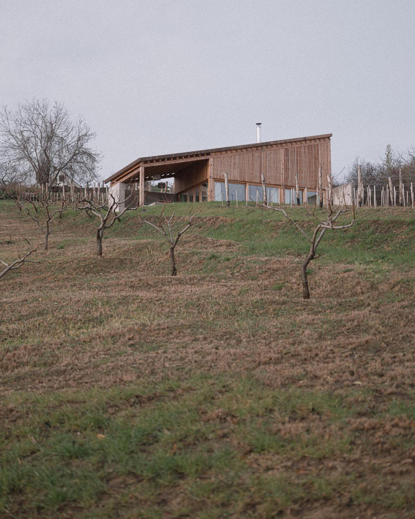 Szegzard - The Lodge Szekszárd Eksteriør bilde
